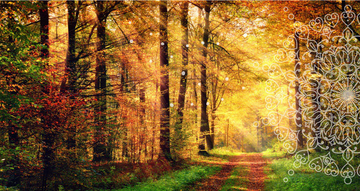 Ayurveda para o Outono